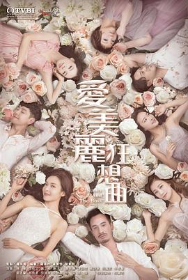 爱美丽狂想曲粤语第12集