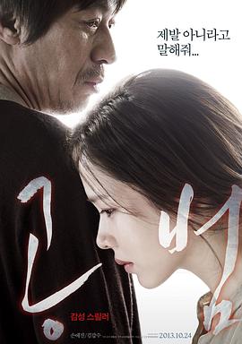 共犯2013(大结局)