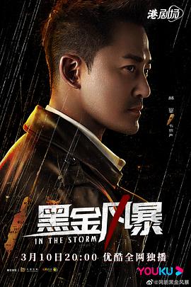 黑金风暴粤语第15集