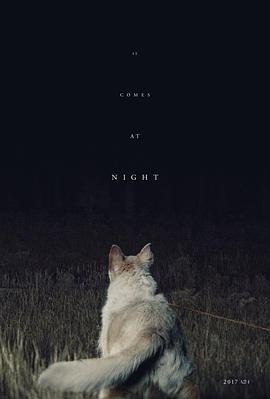 黑夜造访(大结局)