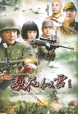 梨花似雪第15集
