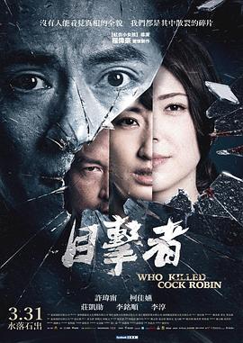 目击者之追凶(大结局)