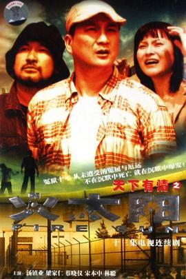 天下有情之火太阳国语第12集