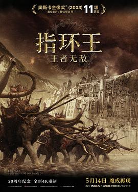 指环王3：王者无敌(大结局)