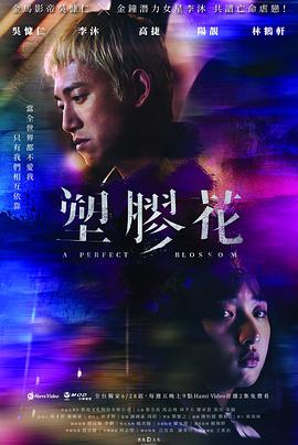 塑胶花第09集