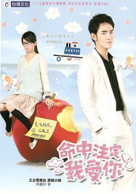 命中注定我爱你2008第01集