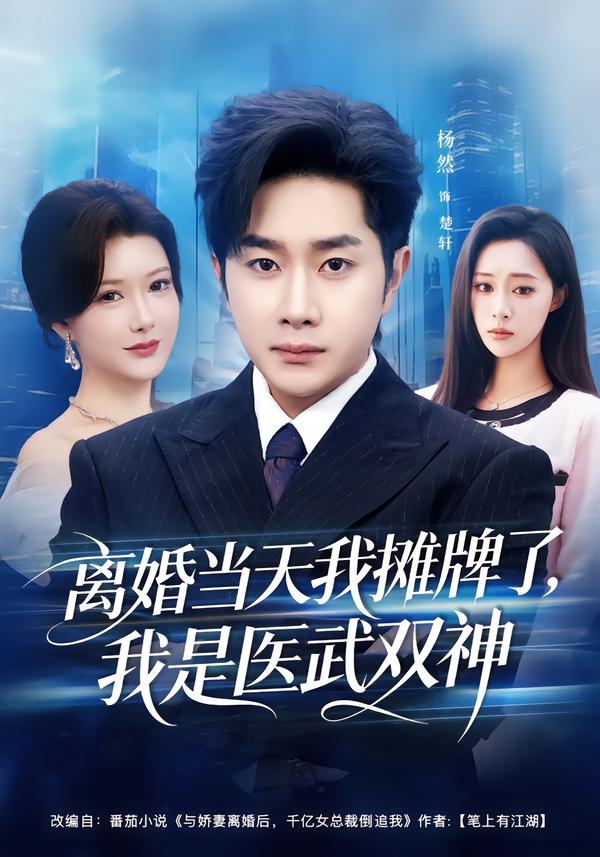 离婚当天我摊牌了，我是医武双神.