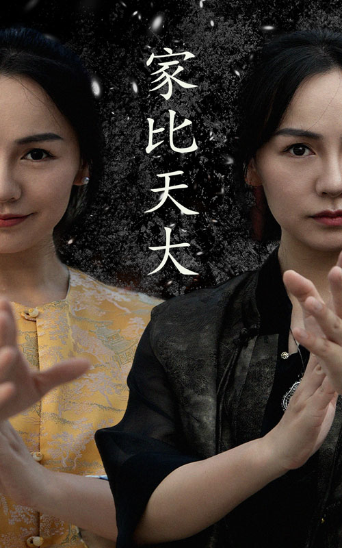 家比天大短剧第44集