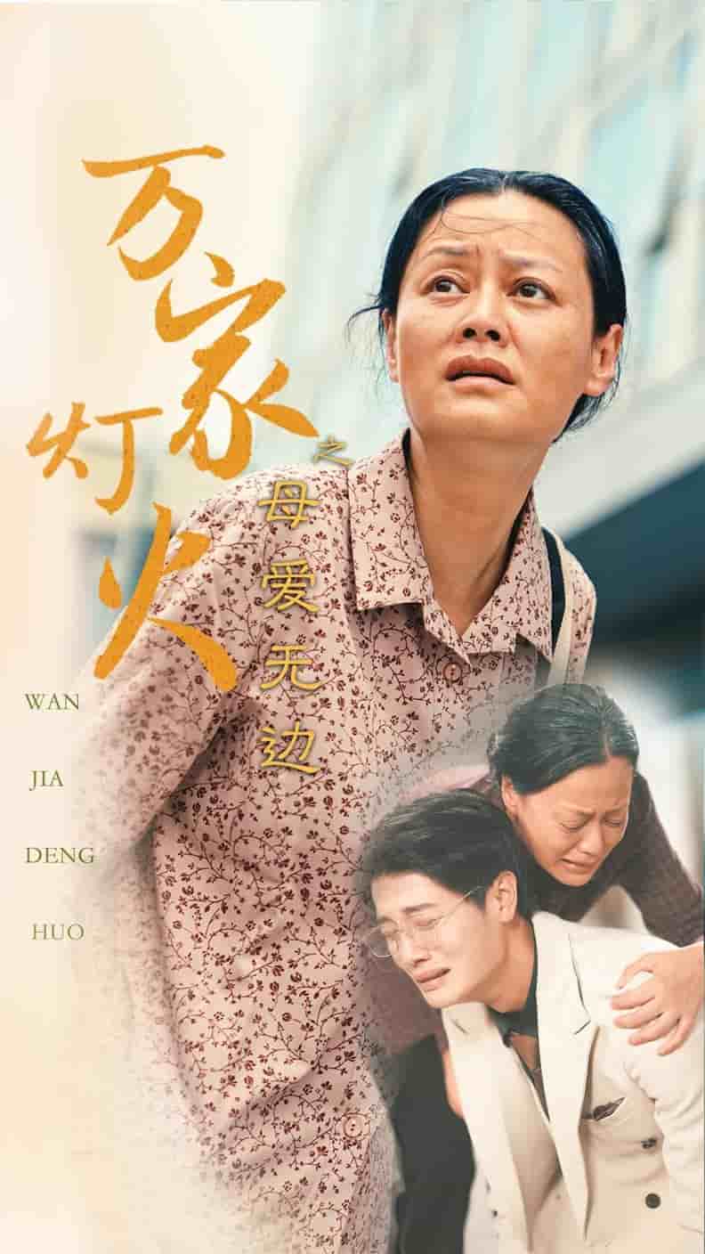 万家灯火之母爱无边第1集
