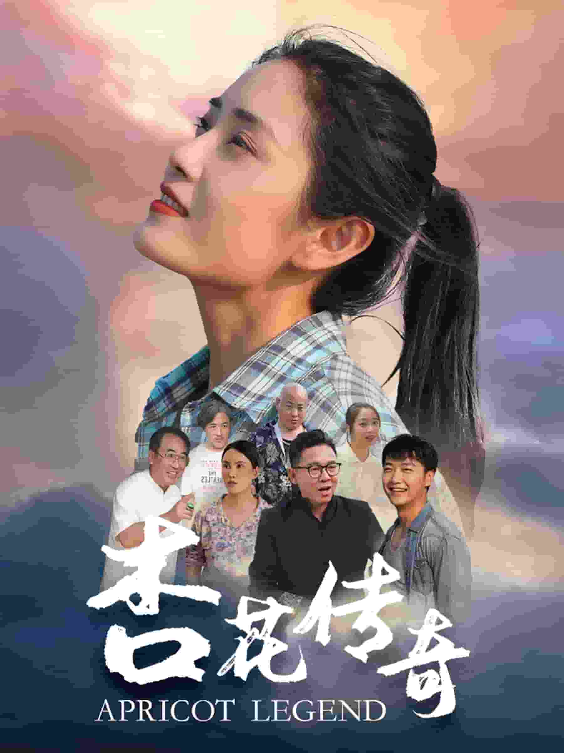 杏花传奇第17集