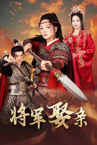 将军娶亲第14集