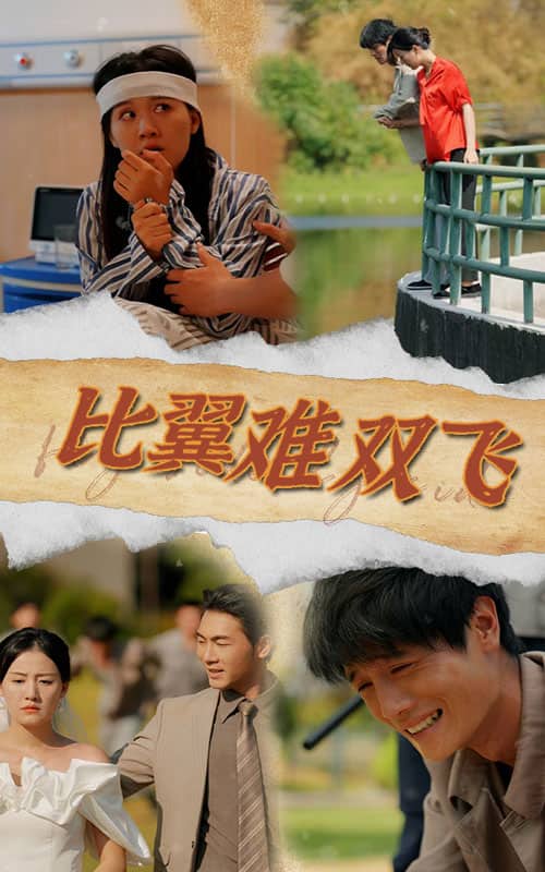 比翼难双飞第11集