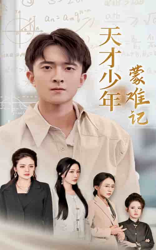天才少年蒙难记第39集(大结局)