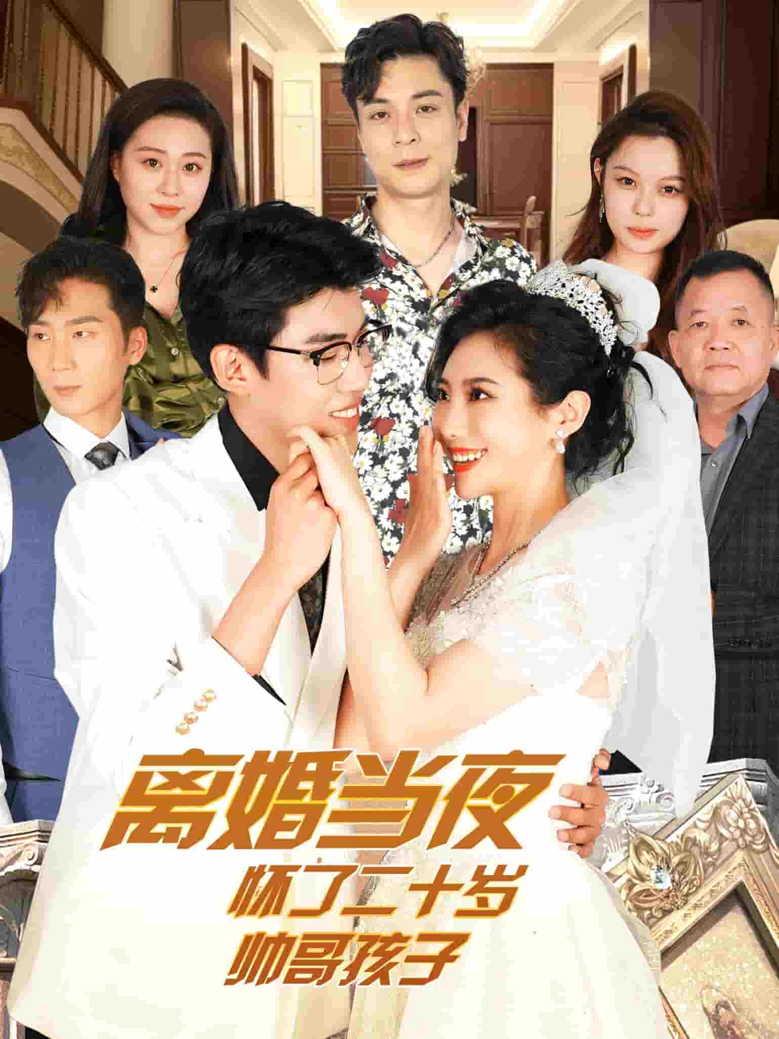 离婚当夜怀了二十岁帅哥第49集