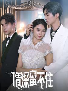 情深留不住第56集