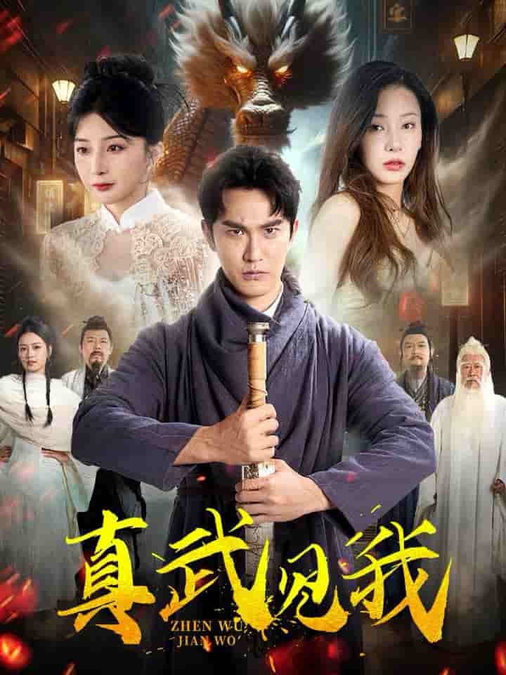 真武见我第58集