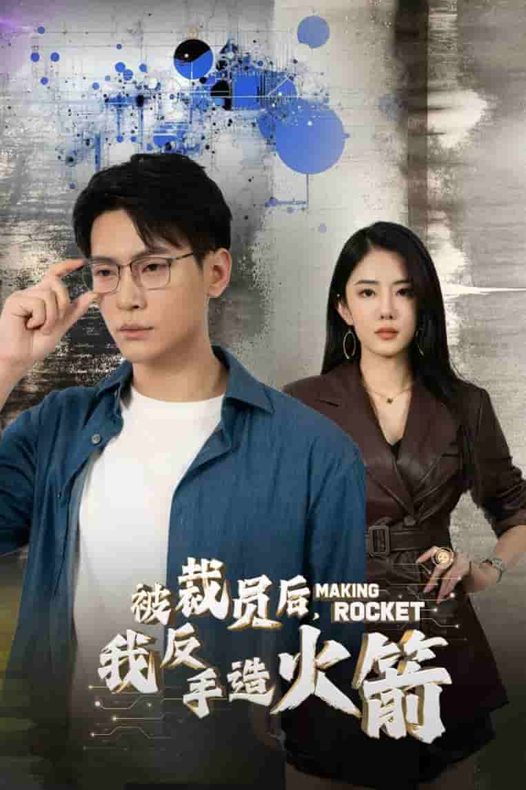 被裁员后，我反手造火箭第14集