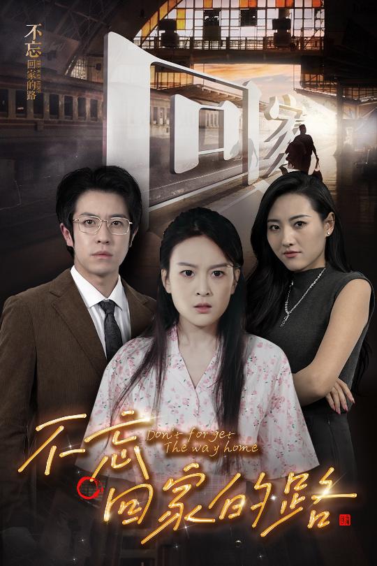 不忘回家的路第12集