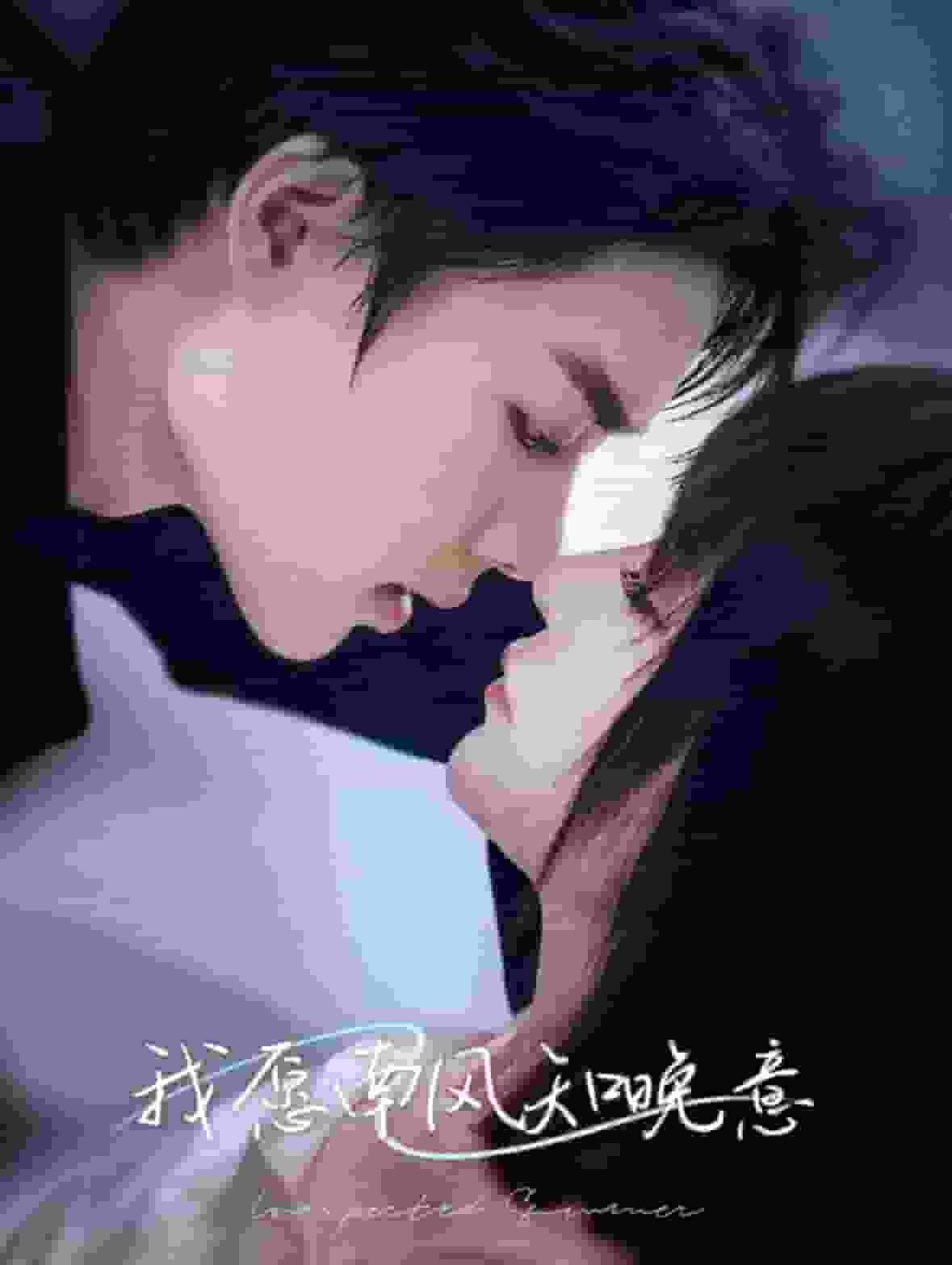我愿南风知晚意第25集