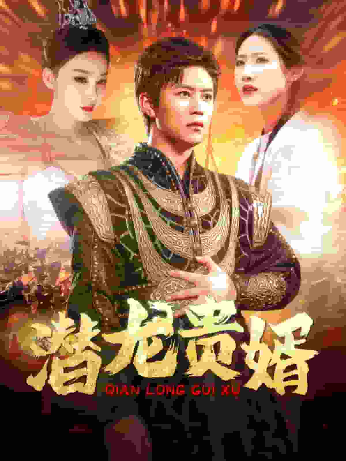 潜龙贵婿第10集
