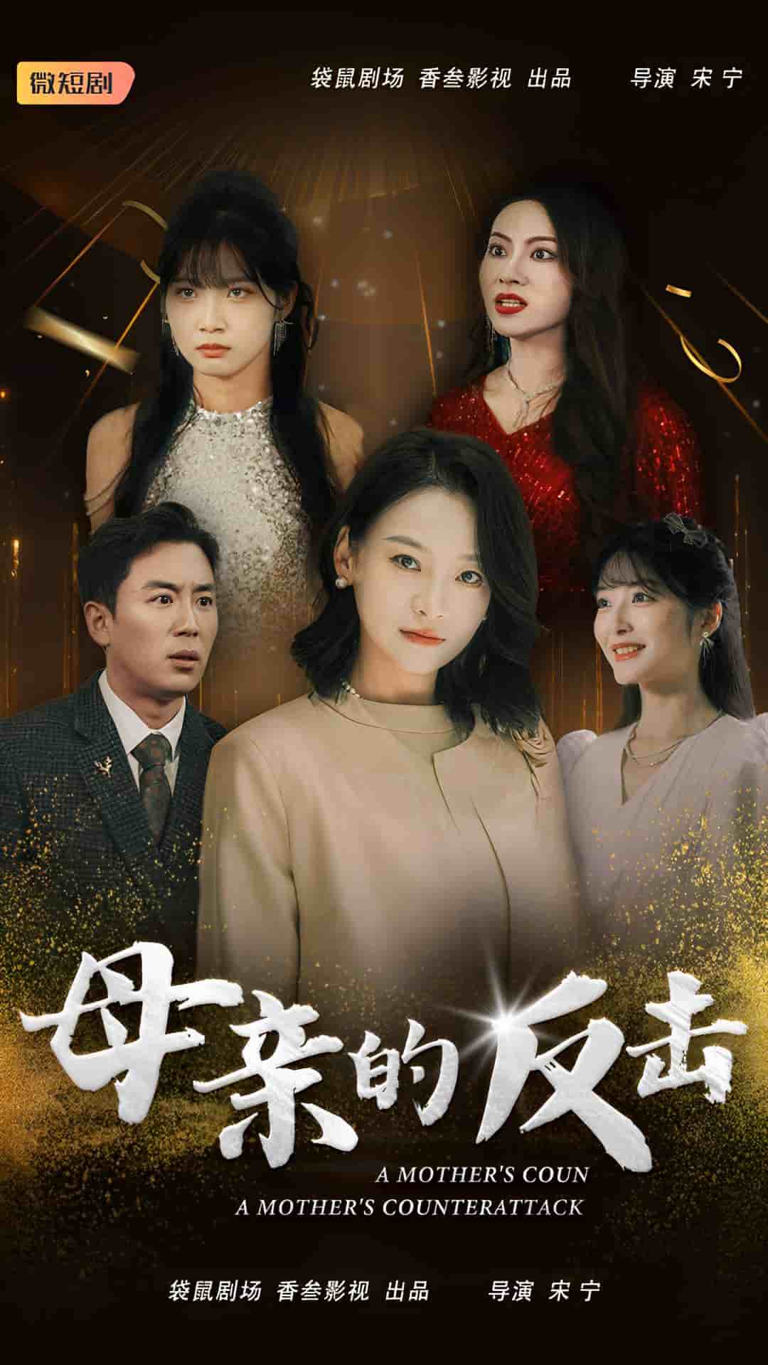 母亲的反击第03集