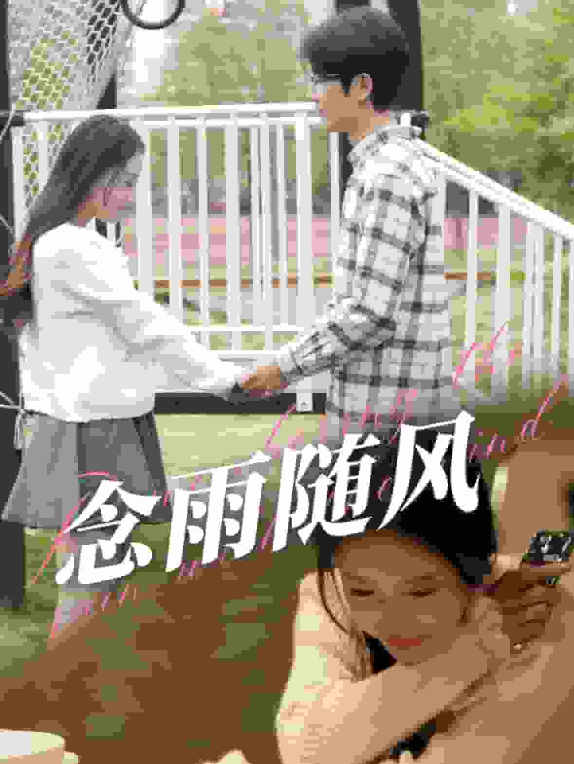 念雨随风第51集
