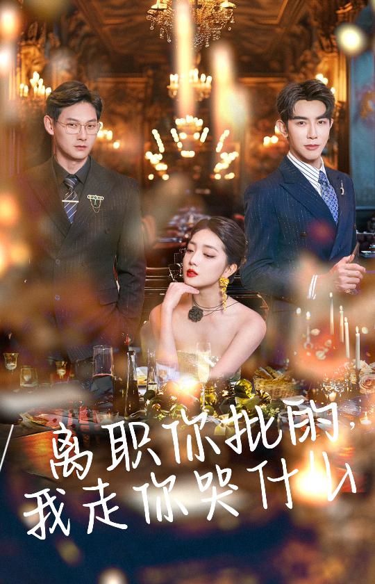 离职你批的我走你哭什么第06集