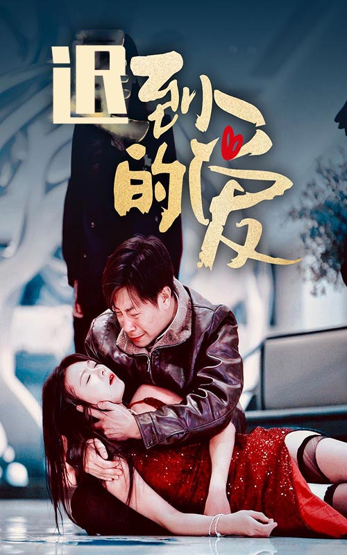 破镜重圆第17集