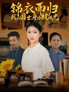 锦衣而归我的国士身份被曝光第19集