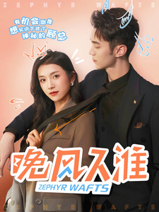 晚风入淮第33集
