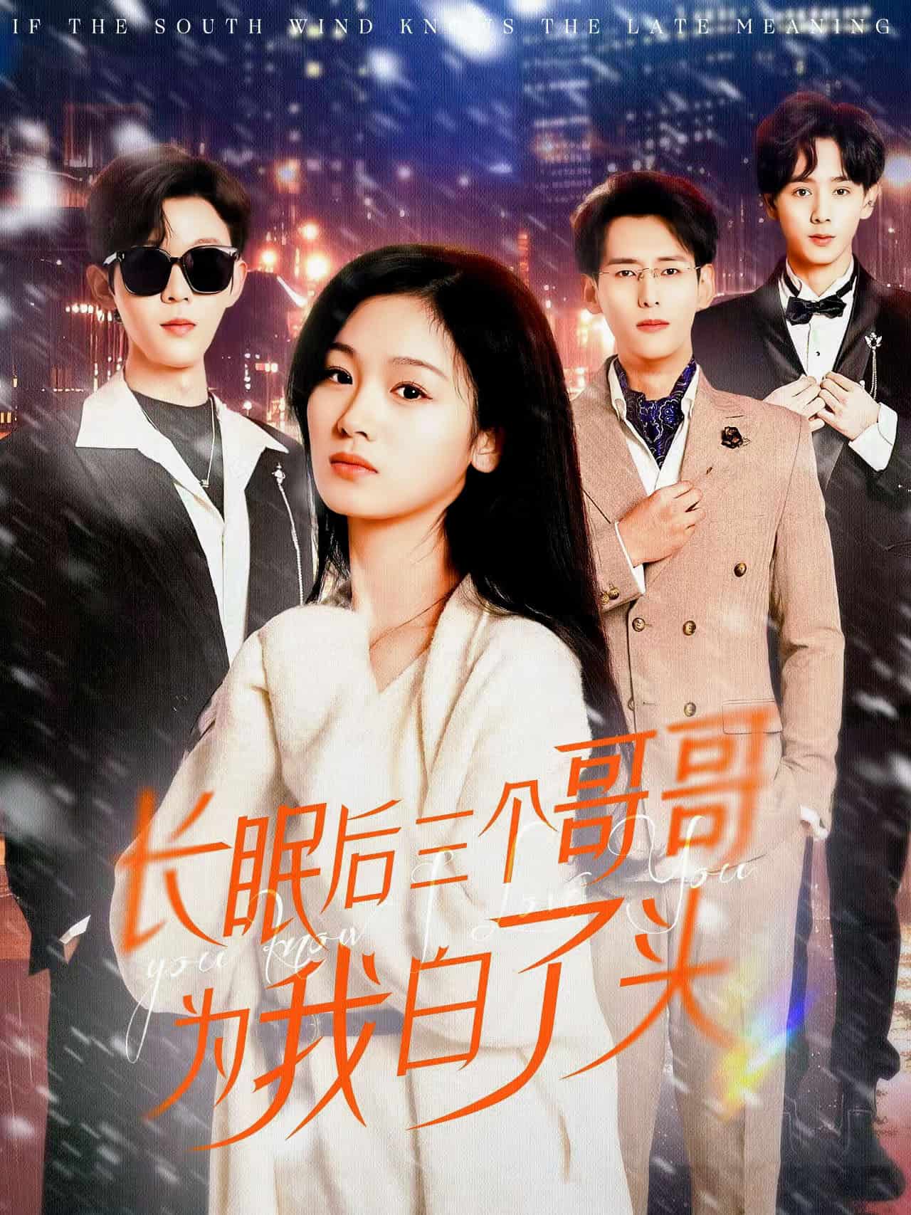 长眠后三个哥哥为我白了头第25集